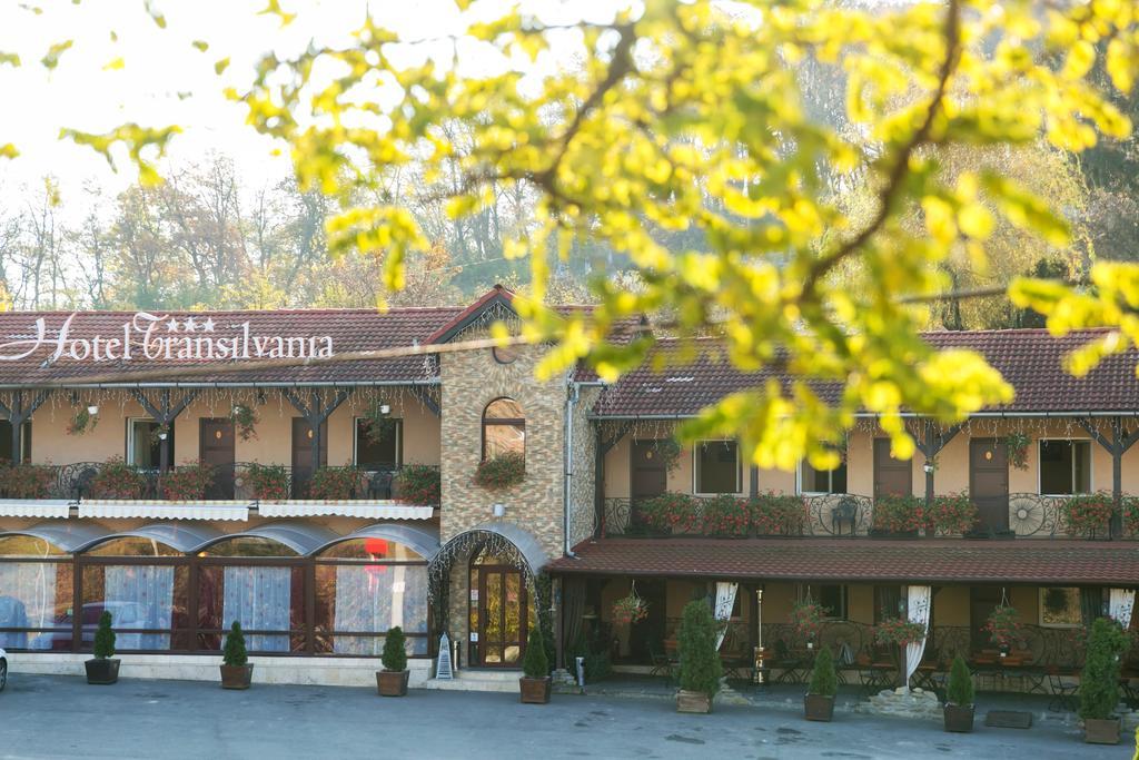 Hotel Transilvania 시기쇼아라 외부 사진