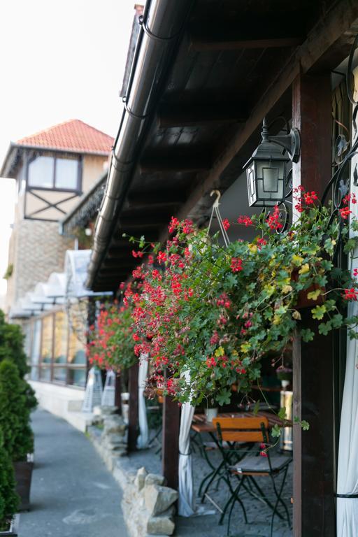 Hotel Transilvania 시기쇼아라 외부 사진